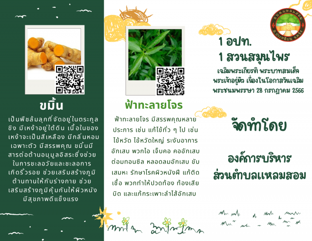 โครงการ 1 อปท. 1 สวนสมุนไพร เฉลิมพระเกียรติ พระบาทสมเด็จพระเจ้าอยู่หัว